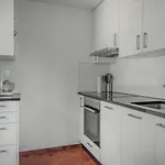 Kirschstein Og *