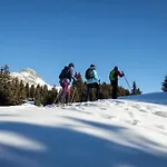 Kirschstein Og فيش