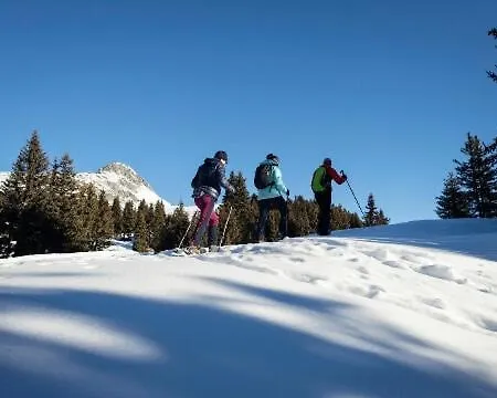 Kirschstein Og Fiesch