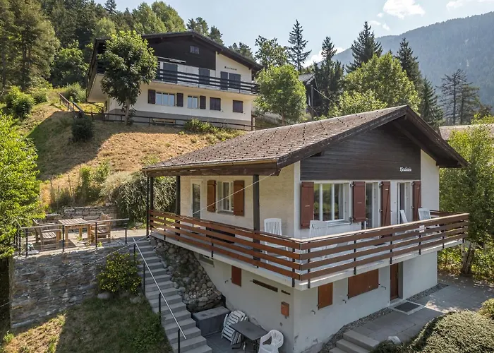 Kirschstein Og Fiesch