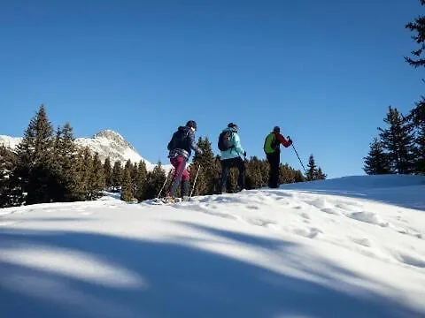 Kirschstein Og Fiesch